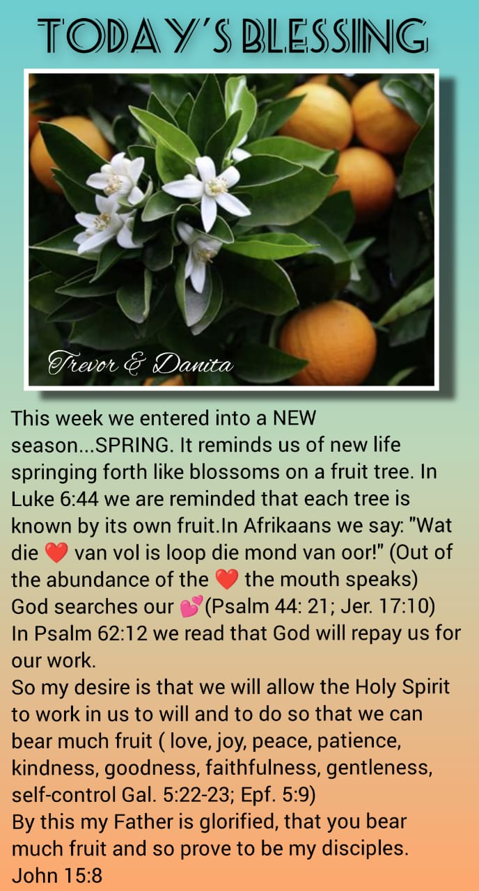 Fruit from Spring blossoms