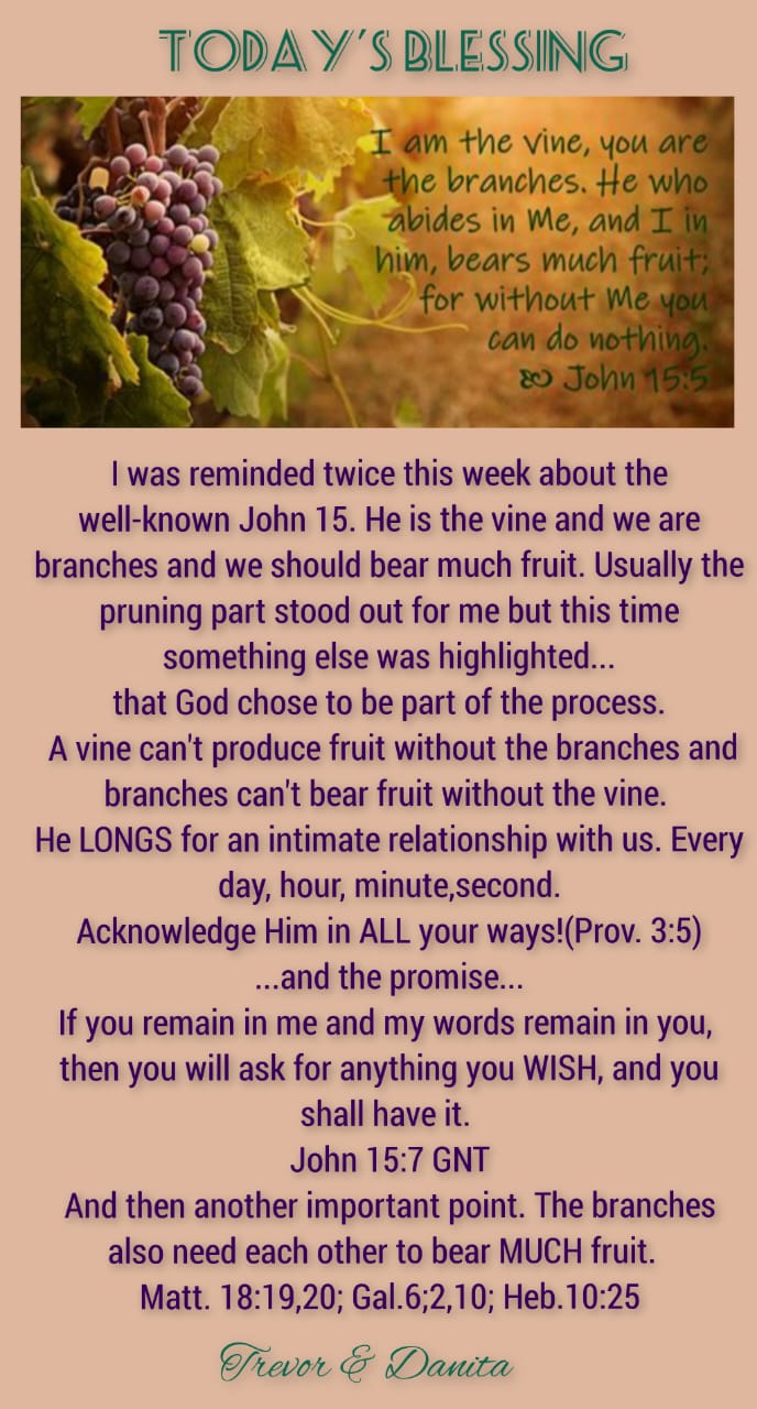 Fruit on the Vine
