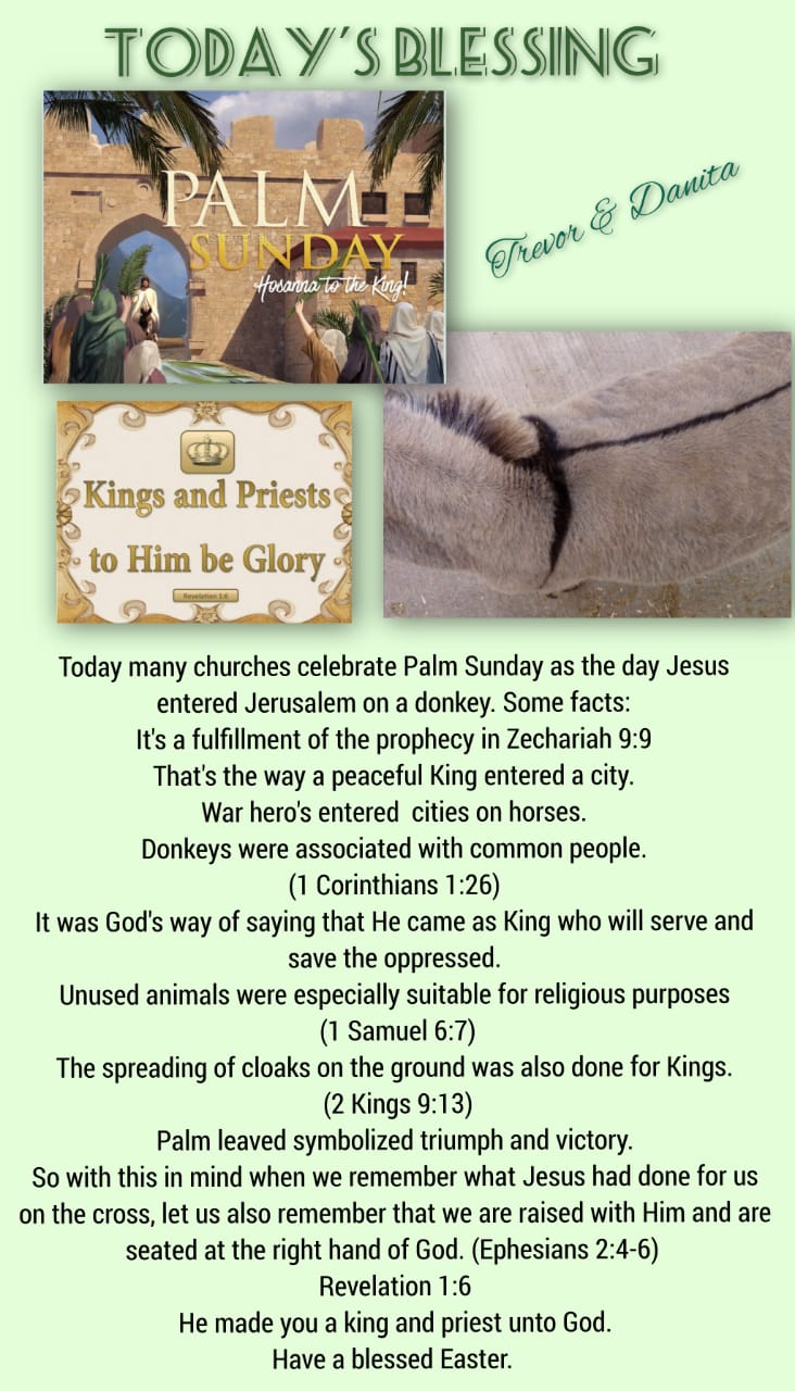 Palm Sunday