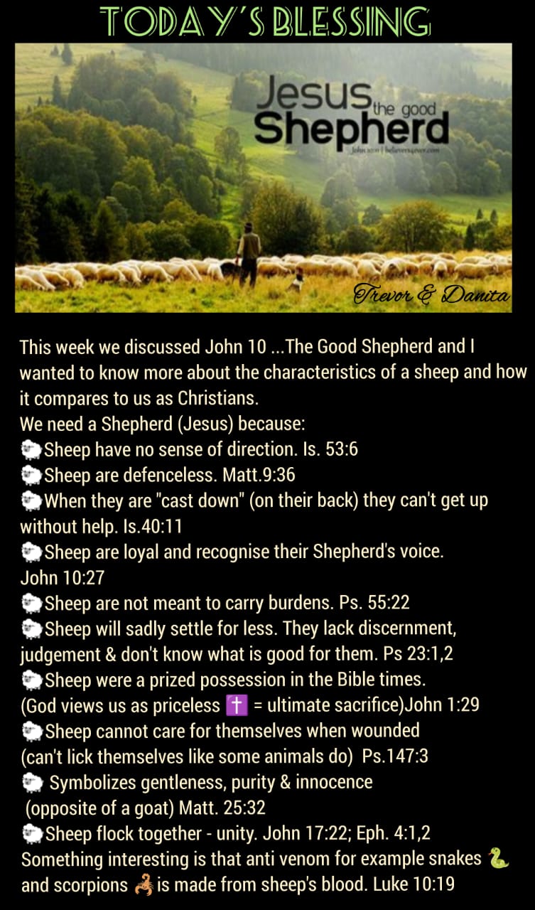 Sheep with Good Shepherd