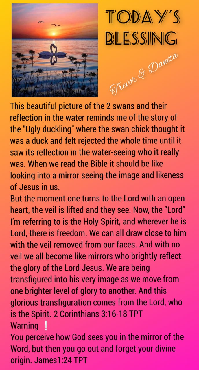 Swan or ugly duckling