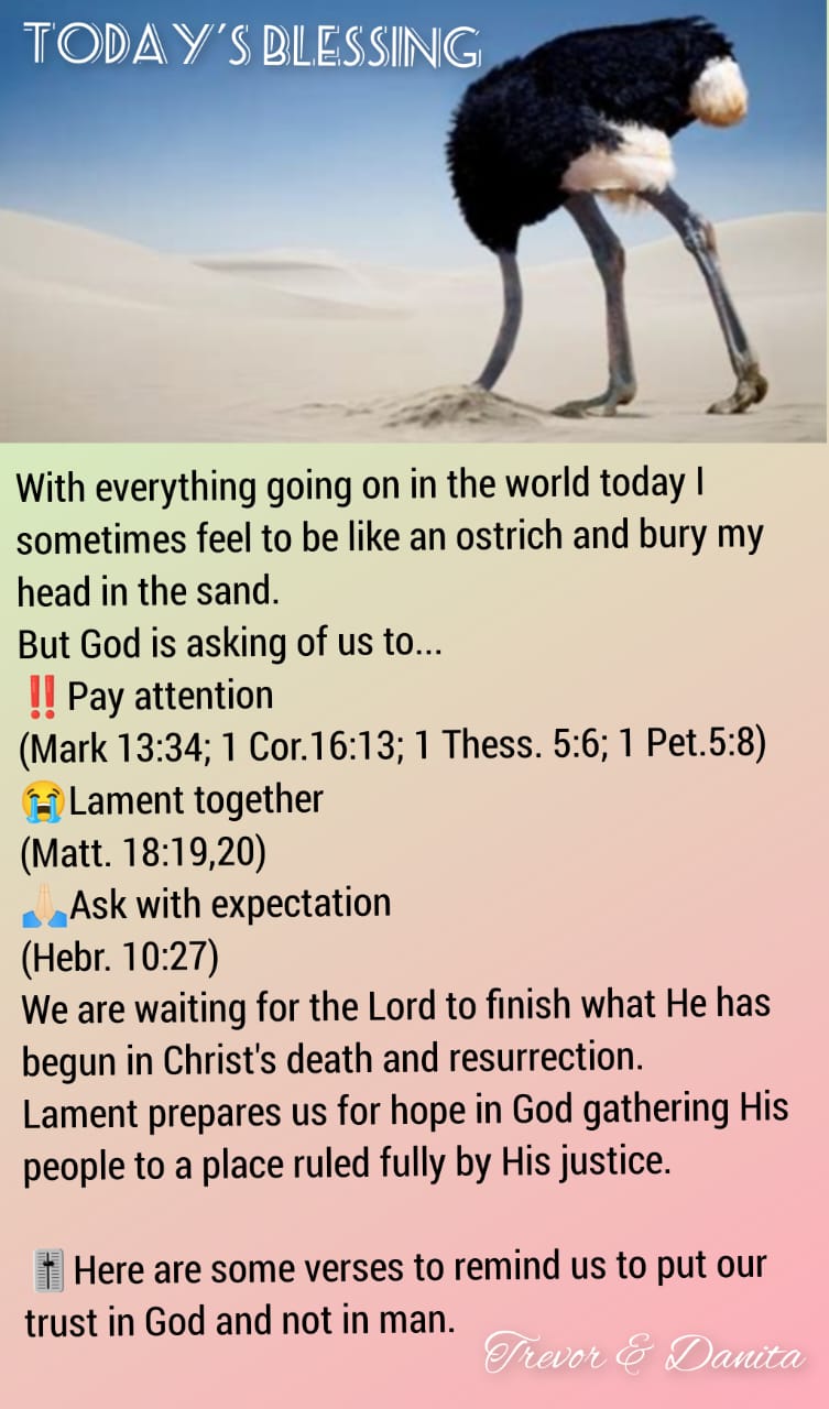 Trust in God