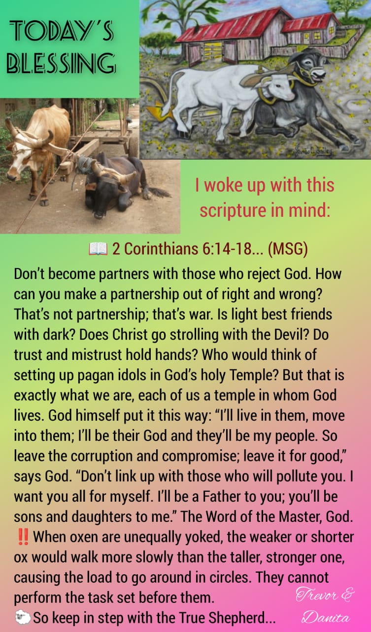 In step with Shepherd