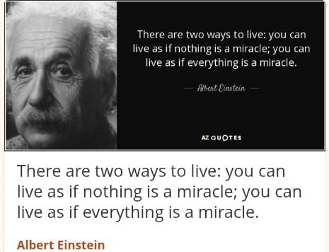 Miracles from heaven2